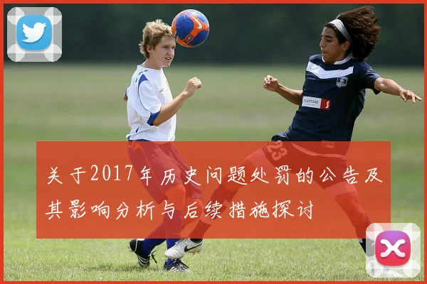 关于2017年历史问题处罚的公告及其影响分析与后续措施探讨