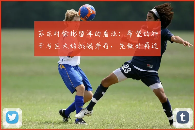苏东对徐彬留洋的看法：希望的种子与巨大的挑战并存，先做好再追求完美